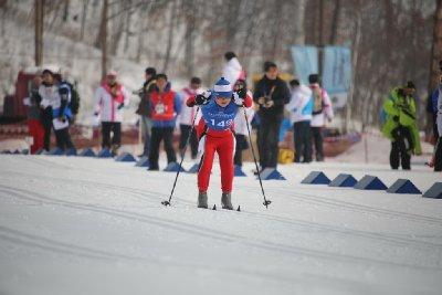 노르딕스키 이미지 3